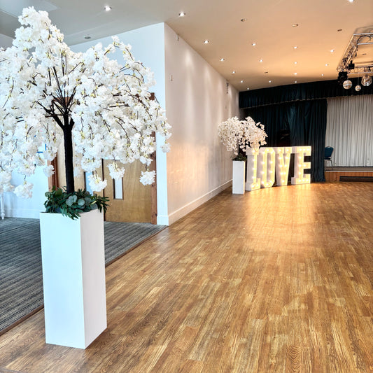 Giant Cherry Blossom Trees