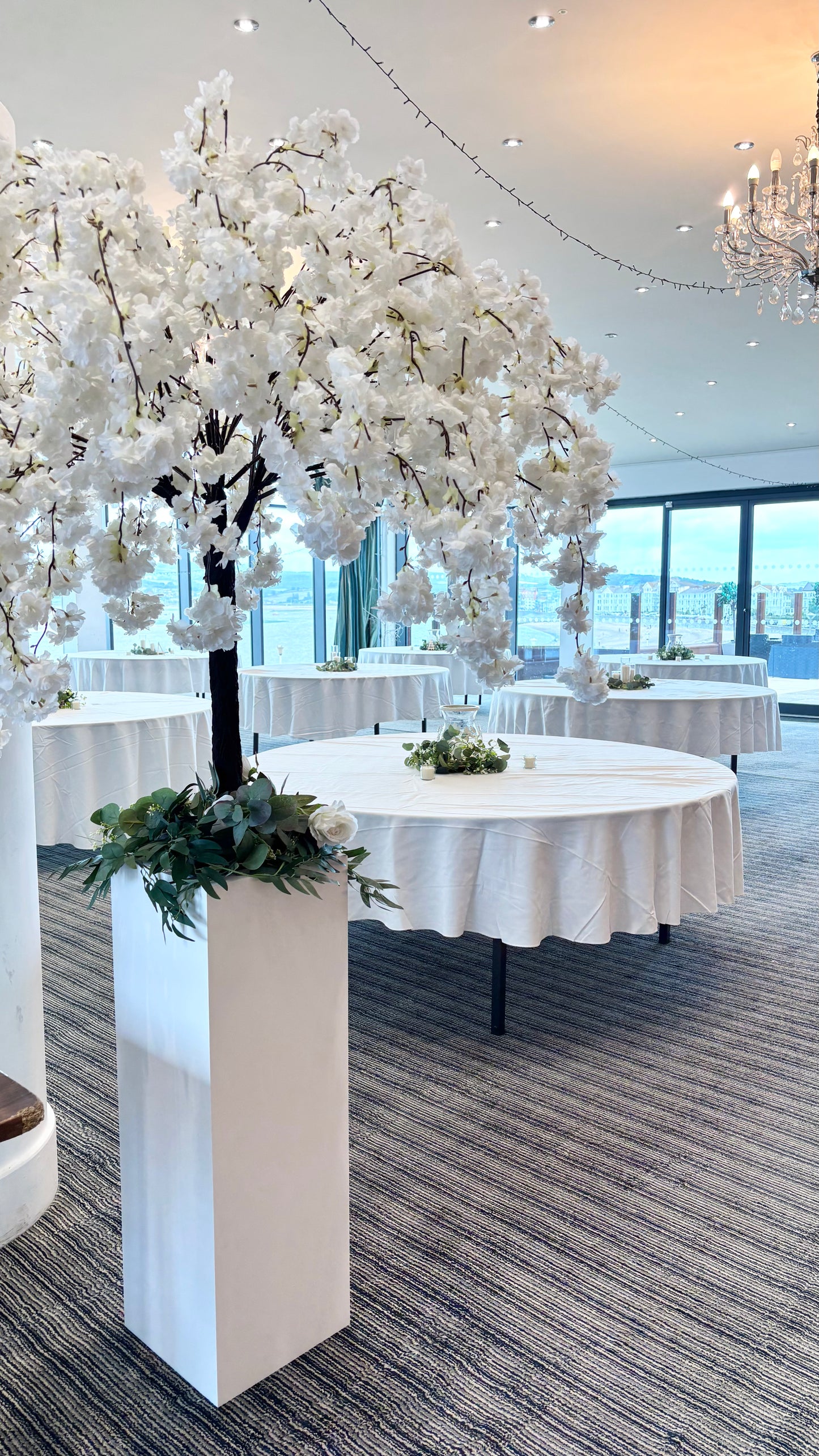 Giant Cherry Blossom Trees